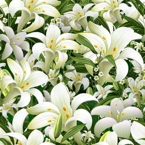lilies